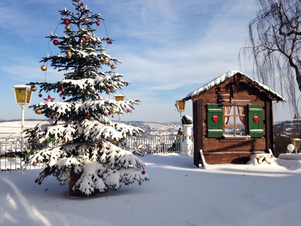 Hotel Wittelsbacher Hoeh Вюрцбург Екстериор снимка